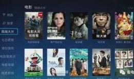 旺达节目爆料视频播放在线观看,精彩视频在线观看，揭秘幕后故事