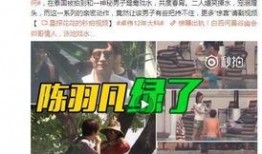 刘文迪视频爆料大全集最新,揭秘事件背后真相与内幕